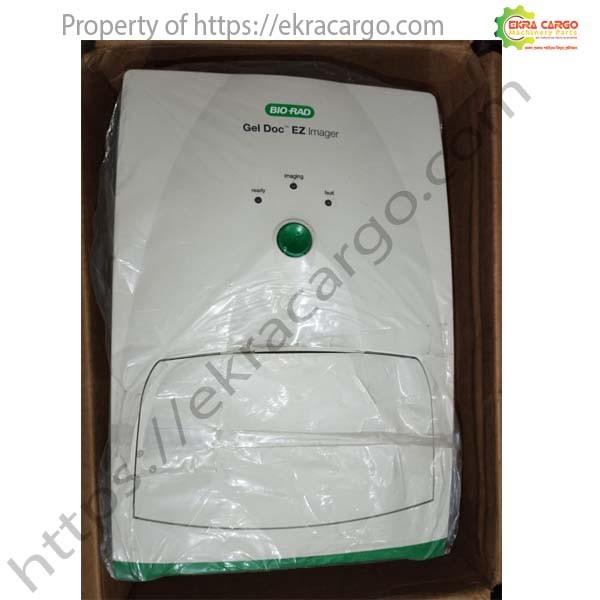 Gel Electrophoresis: Principles, Applications, and Laboratory Techniques